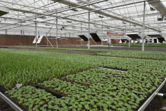 数字农业扶植具有高投入及高风险等特征？